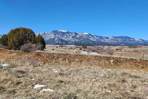 Greenhorn Rd, Colorado City, CO 81019