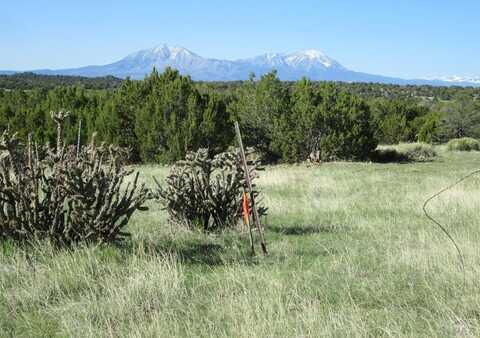 Lot 605 Rio Cucharas, Walsenburg, CO 81089