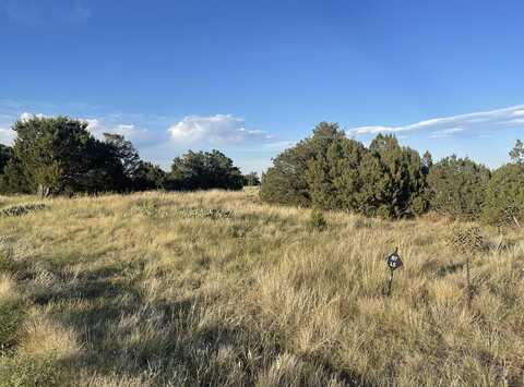 L10 B7 Orlando's Way, Walsenburg, CO 81089