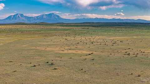 Lot 210 Colorado Land and Livestock, Walsenburg, CO 81089