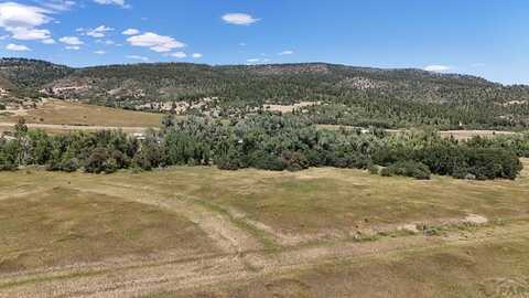 Barry Court, Colorado City, CO 81019