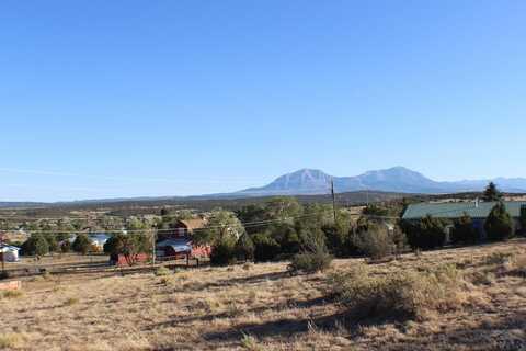 TBD Willow St, Walsenburg, CO 81089