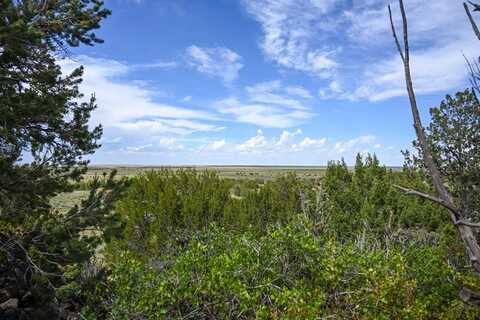 24 & 26 Turkey Ridge Ranch, Walsenburg, CO 81089