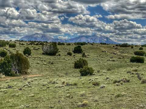 Lot 92 Rio Cucharas, Walsenburg, CO 81089