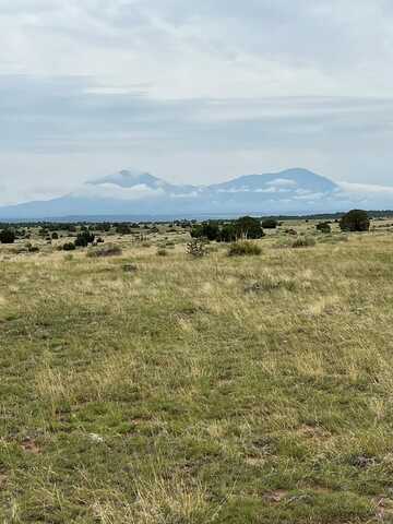 215 Greenhorn Village, Walsenburg, CO 81089