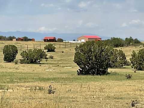 480 Turkey Ridge Rd, Walsenburg, CO 81089