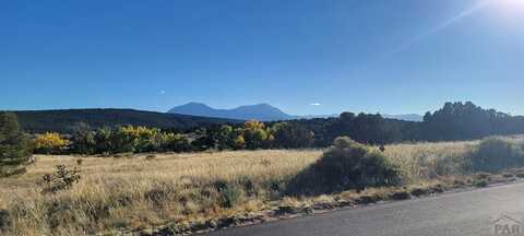 BL5 L16 Diamond Head Vista, Walsenburg, CO 81089