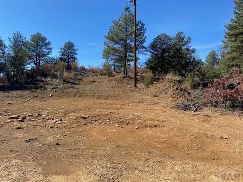 000 Silver Spruce Cir, Weston, CO 81091