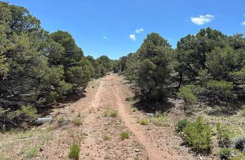 Lot 217 Colorado Land and Grazing, Gardner, CO 81040