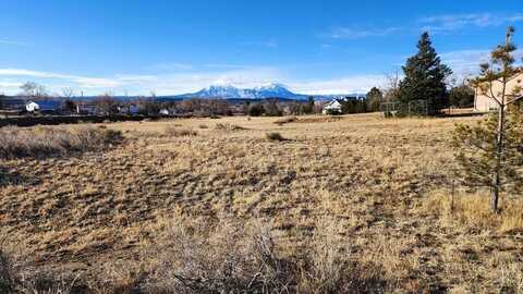 TBD No Site Address, Walsenburg, CO 81089