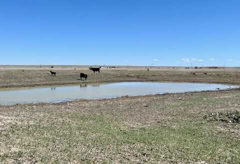 TBD Cedarwood Station, Rye, CO 81069