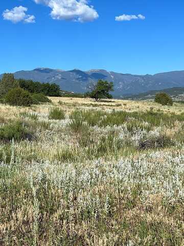 Lot 179 Ouray St, Colorado City, CO 81019