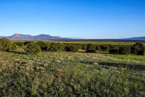 TBD La Veta Pine Ranches, La Veta, CO 81055