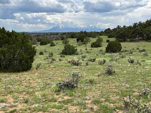 TBD County Rd 521.3, Walsenburg, CO 81089