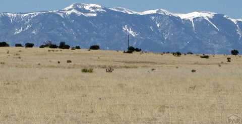 Lot 69 Schmitt Rd, Rye, CO 81069