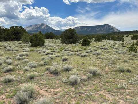 Lot 51 Colorado Land and Grazing, Gardner, CO 81040