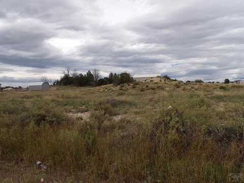 2007 Carrizo Springs Ave, Pueblo West, CO 81007