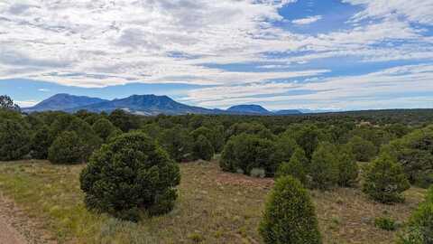 Lot 79 Comanche, Walsenburg, CO 81089