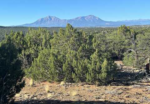 Lot 12 City Ranch Property, Walsenburg, CO 81089