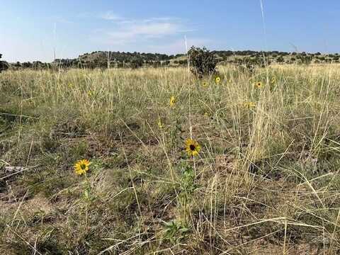 Lot 133 Turkey Ridge Ranch, Walsenburg, CO 81089