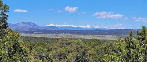 99 River Ridge Ranch, Walsenburg, CO 81089