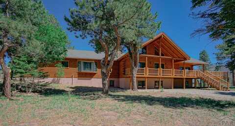 1107 Ove Pl, Fort Garland, CO 81133