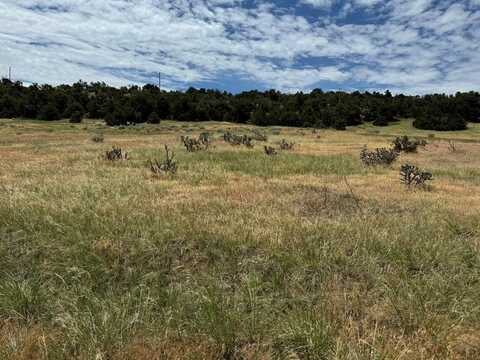 TBD Badger Rd, Walsenburg, CO 81089