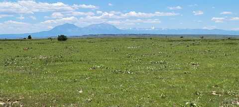 TBD Turkey Ridge East, Walsenburg, CO 81089