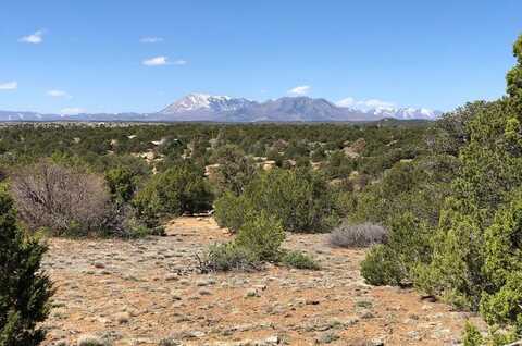 lot 898 Rio Cucharas, Walsenburg, CO 81089