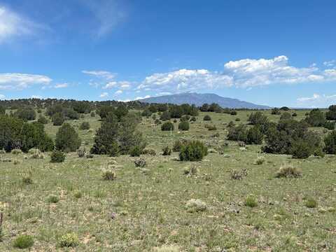 Rio Cucharas lot: 19, Walsenburg, CO 81089