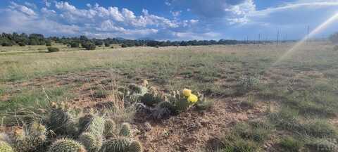 Lot 47 County Rd 504, Walsenburg, CO 81089