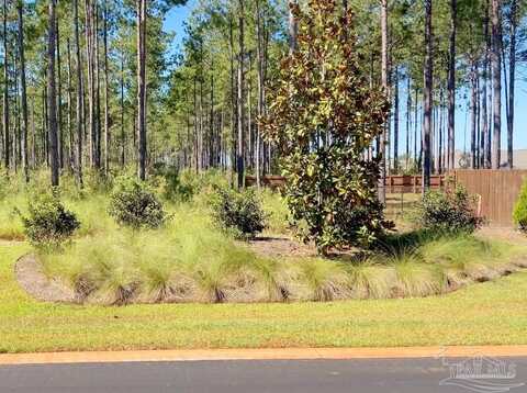 Lot 1 Denali Rd, Jay, FL 32565