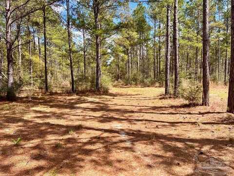 Lot 12 Naturewalk Dr, Pace, FL 32571