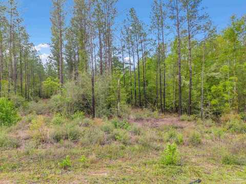 Lot 8 Mineral Springs Rd, Jay, FL 32565