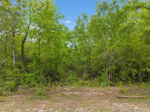 Lot 24 Mineral Springs Rd, Jay, FL 32565