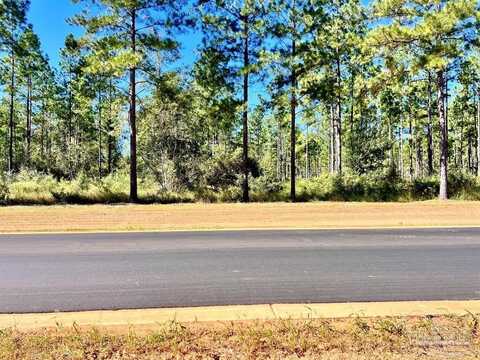 Lot 2 Denali Rd, Jay, FL 32565