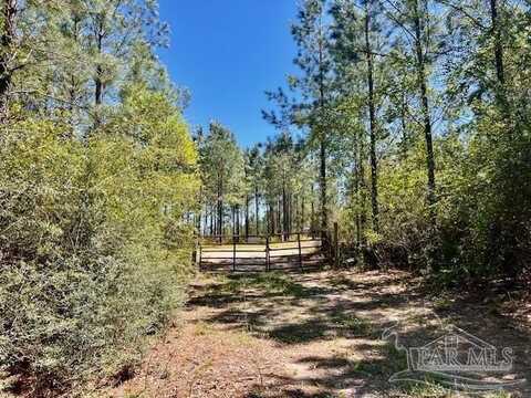 Lot 4 Bs Buffalo Ridge Rd, Pace, FL 32571