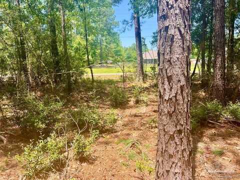 Lot 4-rs Hwy 182, Jay, FL 32565