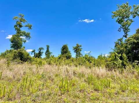 Lot 7-c Cotton Lake Rd, Molino, FL 32577