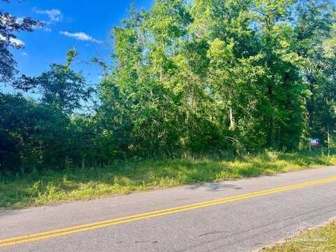 Lot 17-c Cotton Lake Rd, Molino, FL 32577