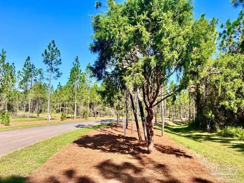 Lot 44 Naturewalk Dr, Pace, FL 32571