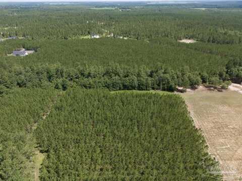 Lot 115 Edge Forest Way, Pace, FL 32571