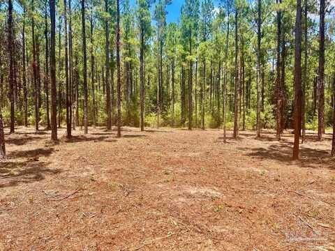 Lot 14 Naturewalk Dr, Pace, FL 32571