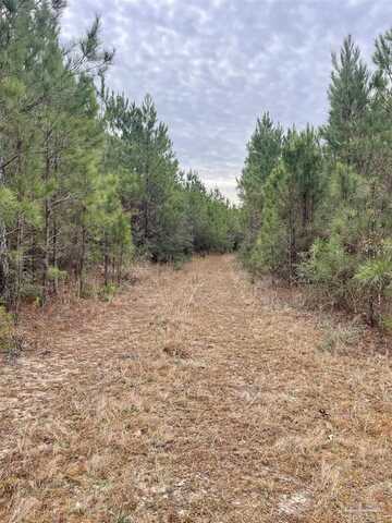 00000 Upper Creek Rd, Flomaton, AL 36441