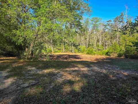 4957 Timothy Twitchell Dr, Milton, FL 32583