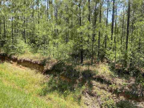 Lot 2- 23799 Lonnie Hadley Rd, Perdido, AL 36562