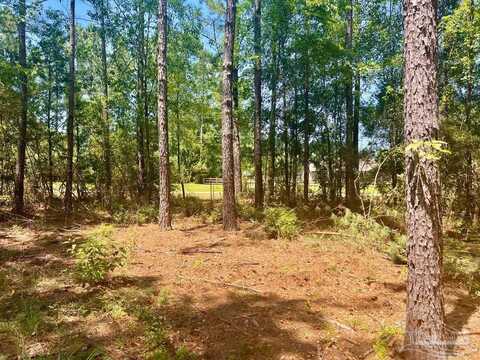 Lot 3-rs Hwy 182, Jay, FL 32565