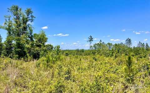 Lot 12-c Cotton Lake Rd, Molino, FL 32577