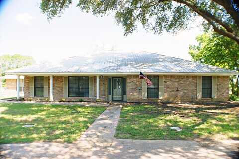 313 AN COUNTY ROAD 147, PALESTINE, TX 75801