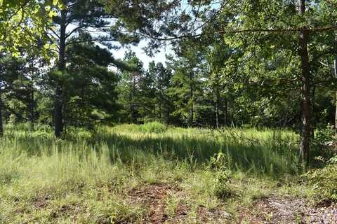 TBD An CR 148 Lot 24, PALESTINE, TX 75803